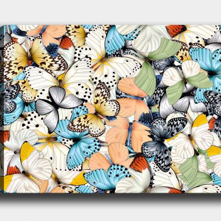 Картина Butterfly Family 40x60