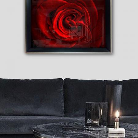 Картина Red Rose 45x65